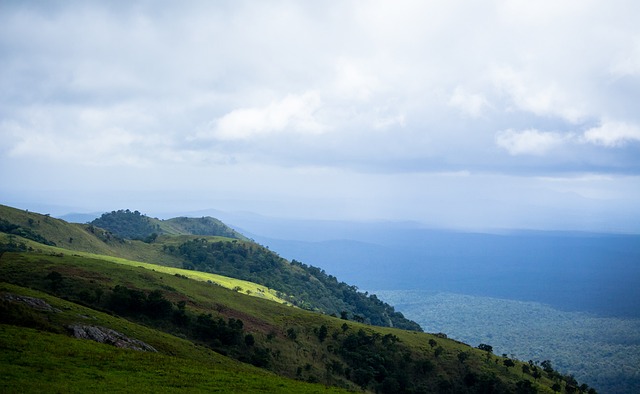 乓球运动的 乓球运动的