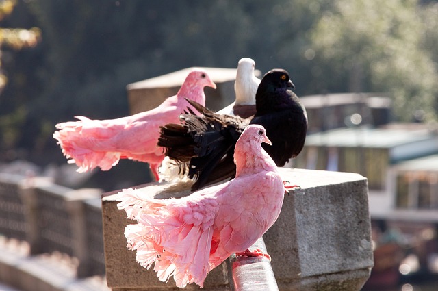 秀中取得了 秀中取得了