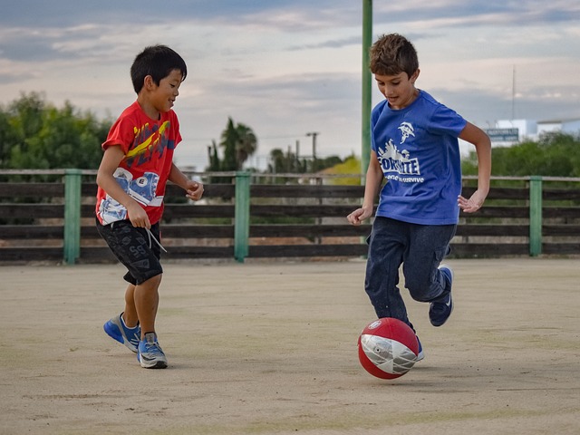州雄狮有意 州雄狮有意