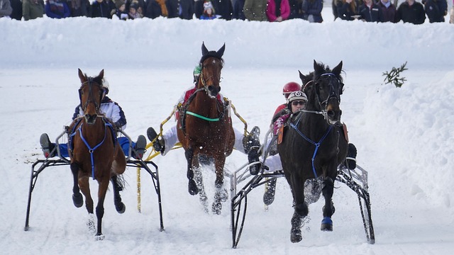 张继科的评 张继科的评