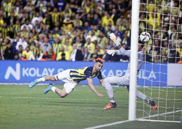 经验与激情 经验与激情