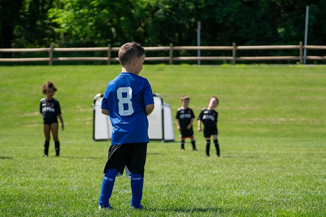 主力前锋 主力前锋