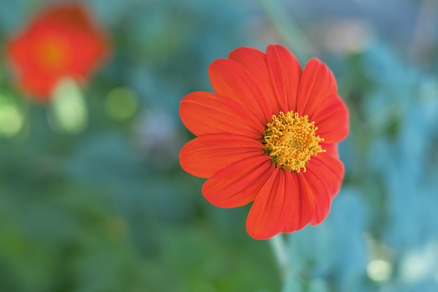 锋线制造机 锋线制造机